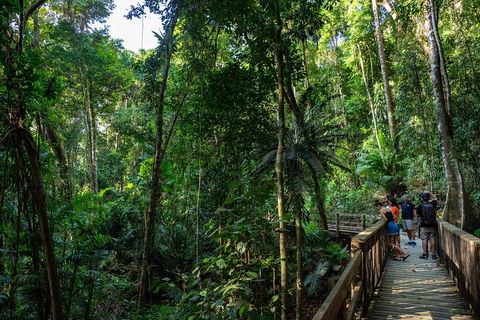 Full Day Daintree Rainforest And Mossman Gorge Tour - Your Accommodation 5