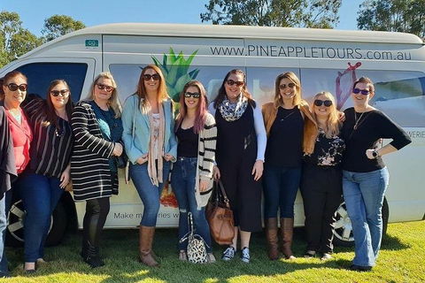 Full Day Mount Tamborine Winery Tour From Gold Coast - Your Accommodation 0