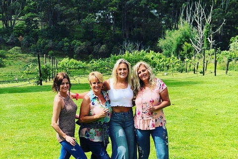 Full Day Mount Tamborine Winery Tour From Gold Coast - Your Accommodation 1