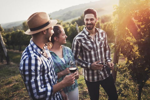 Full Day Mount Tamborine Winery Tour From Gold Coast - Your Accommodation 5