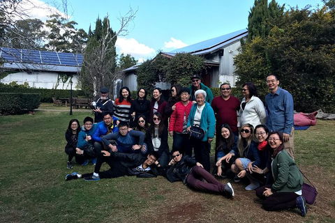 Full Day Mount Tamborine Winery Tour From Brisbane - Your Accommodation 2
