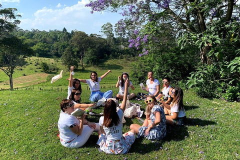 Full Day Mount Tamborine Winery Tour From Brisbane - Your Accommodation 4