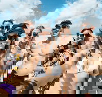 Whitsunday Islands Sailing Adventure - Your Accommodation