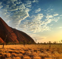 Highlights of Uluru Including Sunrise and Breakfast - Your Accommodation