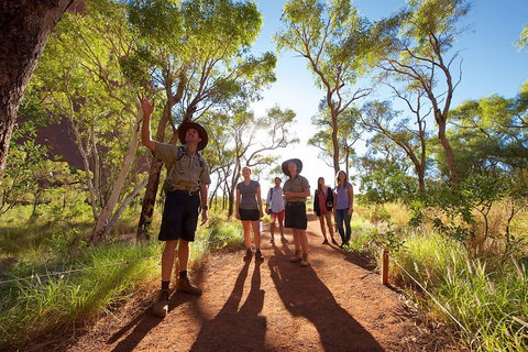 Uluru Small Group Tour Including Sunset - Your Accommodation 0