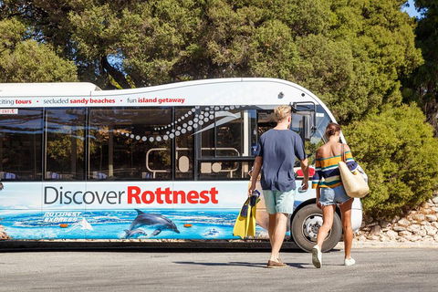 Discover Rottnest With Ferry & Bus Tour From Perth Or Fremantle - Your Accommodation 1