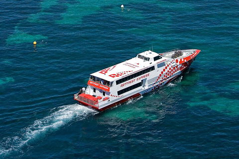 Discover Rottnest With Ferry & Bus Tour From Perth Or Fremantle - Your Accommodation 3