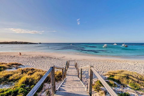 Discover Rottnest With Ferry & Bus Tour From Perth Or Fremantle - Your Accommodation 4