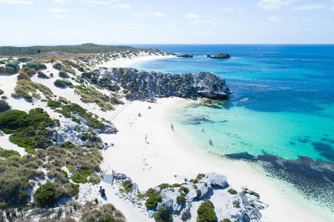 Discover Rottnest With Ferry & Bus Tour From Perth Or Fremantle - Your Accommodation 5