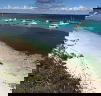 Experience Rottnest with Ferry  Bike Hire from Perth or Fremantle