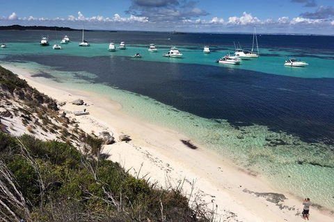 Experience Rottnest With Ferry & Bike Hire From Perth Or Fremantle - Your Accommodation 0