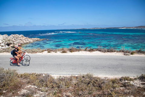 Experience Rottnest With Ferry & Bike Hire From Perth Or Fremantle - Your Accommodation 2