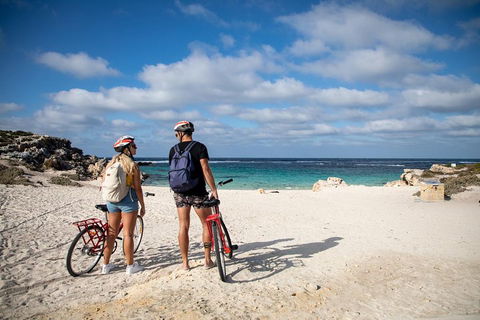 Experience Rottnest With Ferry & Bike Hire From Perth Or Fremantle - Your Accommodation 5