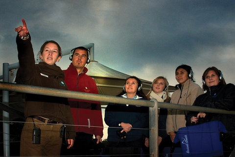 Phillip Island Penguin Parade Express Tour From Melbourne - Your Accommodation 1