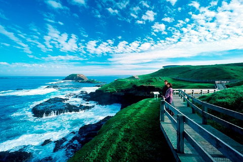 Phillip Island Penguin Parade Express Tour From Melbourne - Your Accommodation 4