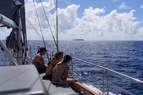 Ocean Free Green Island & Great Barrier Reef Snorkel Cruise, Cairns 25 Guests - Your Accommodation 4