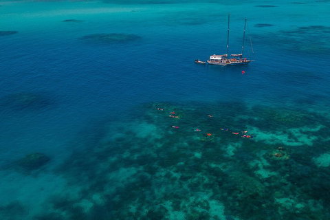 Ocean Free Green Island & Great Barrier Reef Snorkel Cruise, Cairns 25 Guests - Your Accommodation 5