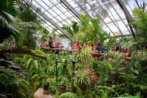 Australian Butterfly Sanctuary - Your Accommodation 0