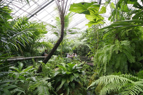 Australian Butterfly Sanctuary - Your Accommodation 3