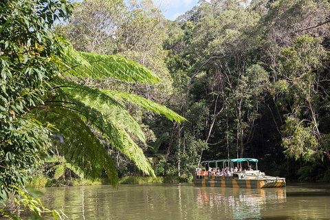Best Of Kuranda Including Skyrail, Kuranda Scenic Railway And Rainforestation - Your Accommodation 5