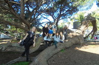 1/2 day Swan Valley Wine Cheese  Chocolate Tour Inc Afternoon Cruise to Perth