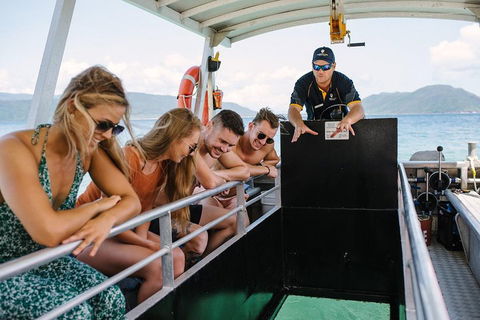 Fitzroy Island Day Trip From Cairns - Your Accommodation 4