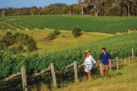 10 Day Perth To Adelaide Private Tour - The Great Australian Wilderness Journey - Your Accommodation 0