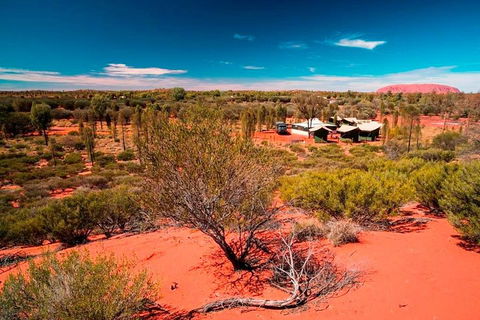 Overnight Uluru (Ayers Rock) Small-Group Camping Tour - Your Accommodation 2