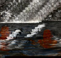 3 Day 4WD Dragonfly Dreaming Top End Safari - Your Accommodation