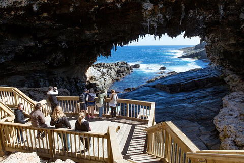 Full Day Flinders Chase Tour From Kangaroo Island - Your Accommodation 1