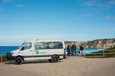 Full Day Flinders Chase Tour From Kangaroo Island - Your Accommodation 3