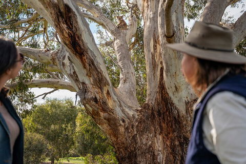 Full Day Flinders Chase Tour From Kangaroo Island - Your Accommodation 5