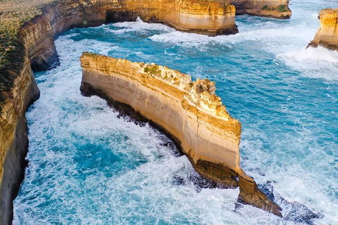 Small-Group Great Ocean Road Day Trip From Melbourne - Your Accommodation 2