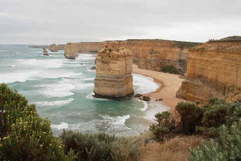 Private Tour: Great Ocean Road From Melbourne - Your Accommodation 2
