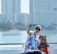 Lunch Buffet Cruise on the Gold Coast - Your Accommodation