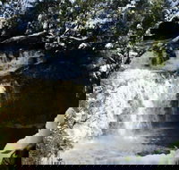 Cradle Mountain Day Tour from Launceston Including Lunch - Your Accommodation