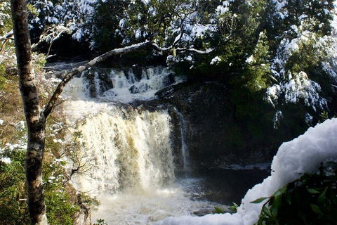 Cradle Mountain Day Tour From Launceston Including Lunch - Your Accommodation 0