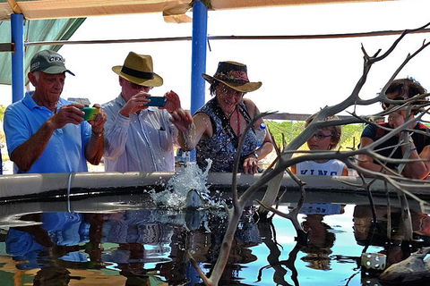 Cape Leveque 4WD Tour From Broome With Optional Return Flight - Your Accommodation 0