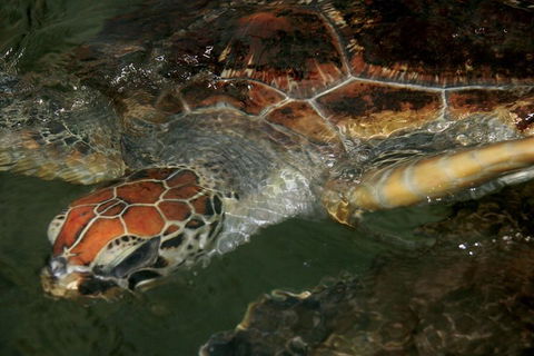 Cape Leveque 4WD Tour From Broome With Optional Return Flight - Your Accommodation 2