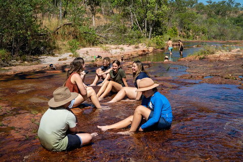 Litchfield National Park Waterfalls And Wildlife Tour From Darwin - Your Accommodation 1