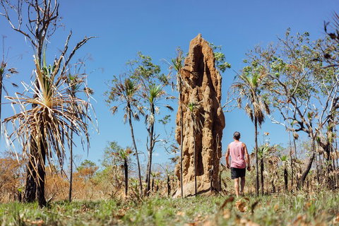Litchfield National Park Waterfalls And Wildlife Tour From Darwin - Your Accommodation 4