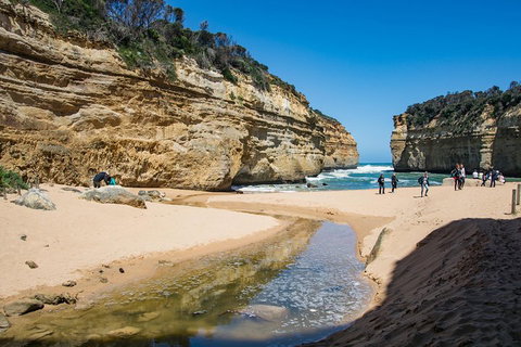 Great Ocean Road Reverse Itinerary With 12 Apostles From Melbourne - Your Accommodation 2