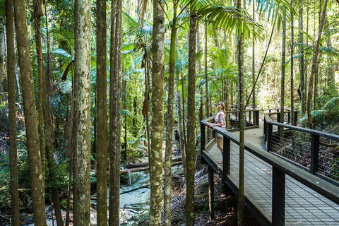 All-Inclusive Fraser Island Day Tour - Your Accommodation 5