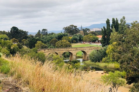 Day Tour In Mt. Field, Mt. Wellington, Bonorong Wildlife Sanctuary And Richmond - Your Accommodation 3