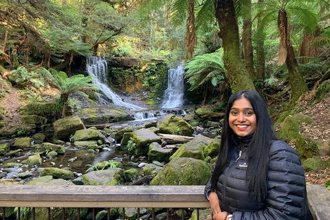 Day Tour In Mt. Field, Mt. Wellington, Bonorong Wildlife Sanctuary And Richmond - Your Accommodation 5