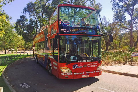 Perth Hop-On Hop-Off Bus Tour - Your Accommodation 4
