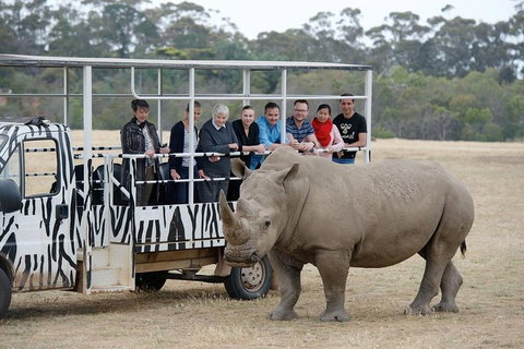 Off-Road Safari At Werribee Open Range Zoo - Your Accommodation 0