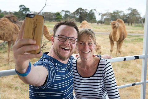 Off-Road Safari At Werribee Open Range Zoo - Your Accommodation 1