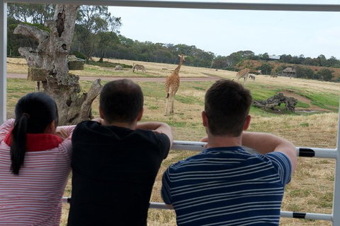 Off-Road Safari At Werribee Open Range Zoo - Your Accommodation 4
