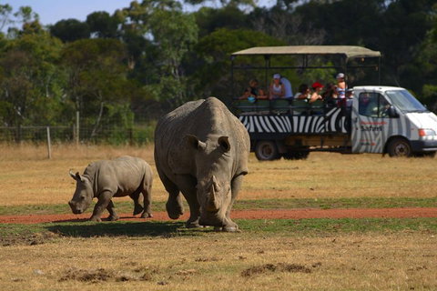 Off-Road Safari At Werribee Open Range Zoo - Your Accommodation 5